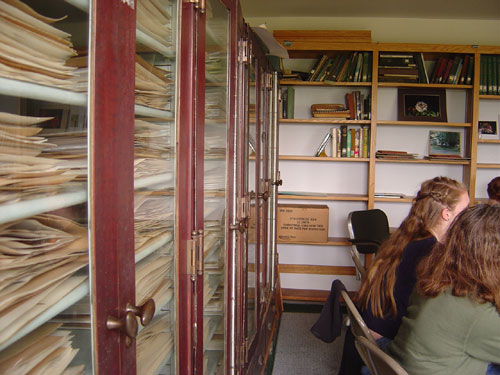 The herbarium in the library.  The Arboretum opened its reference collection for us