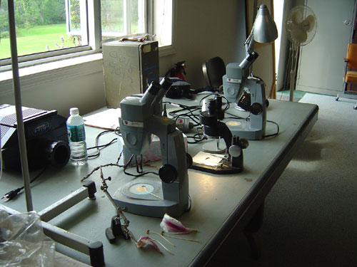 Our lab setup in the library